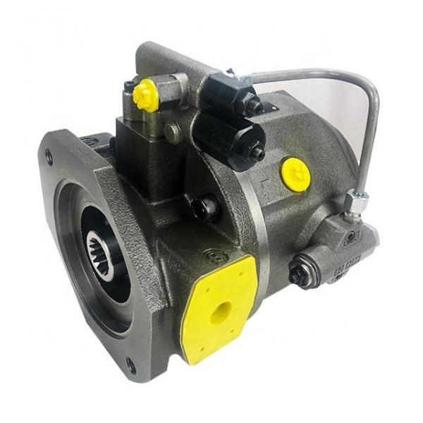 Rexroth R901085379 PVV21-1X/055-027RB15DDMB Vane pump #1 image