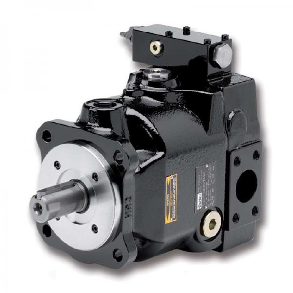 PAKER 50T-17-FR-1 Piston Pump #1 image