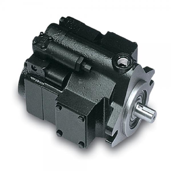 PAKER 50T-17-FR-1 Piston Pump #2 image